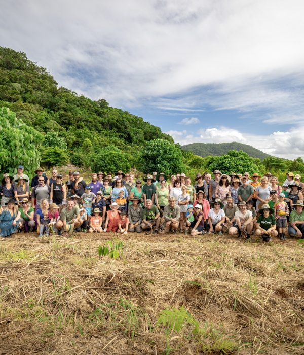 Rainforest_Rescue_Tree_Planting Rainforest_Rescue_Tree_Planting