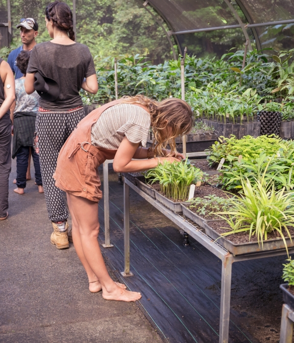 Rainforest Rescue Community Tree Planting