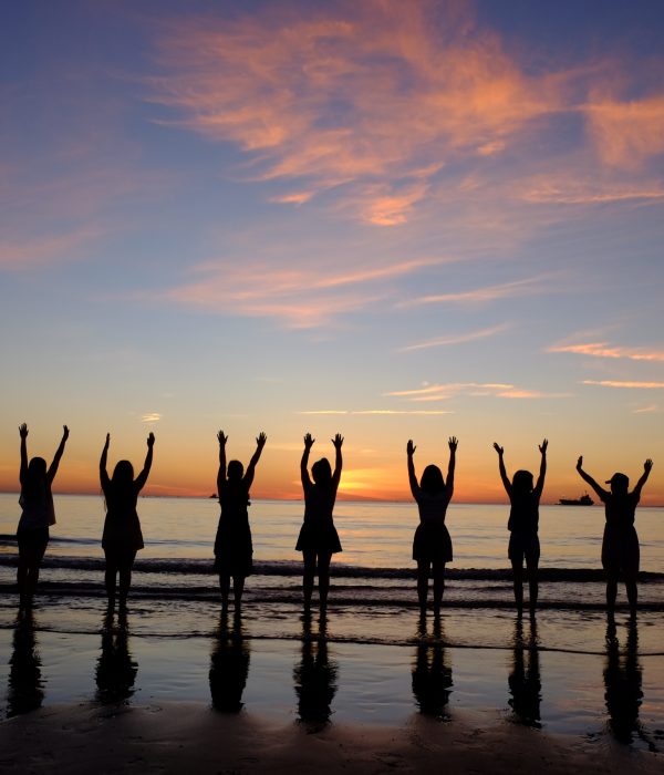 Blue Dragon-Human trafficking survivors_ healing journey Blue Dragon-Human trafficking survivors_ healing journey