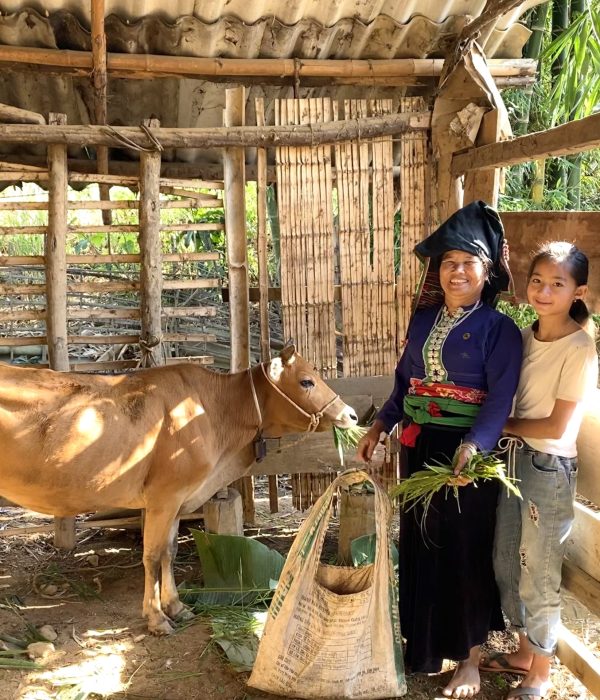 Blue Dragon – Livelihood support to a poor family Blue Dragon - Livelihood support to a poor family