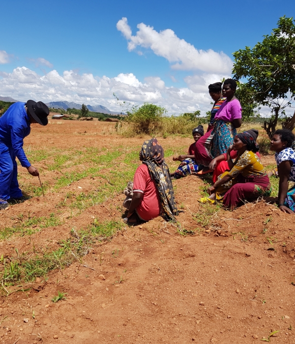 Conservation farming training session Conservation farming training session