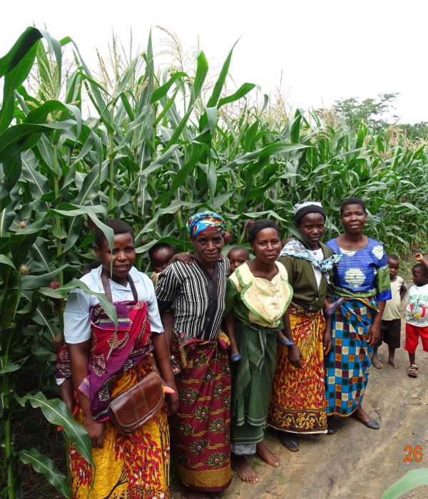 Farming Group by maize field Farming Group by maize field