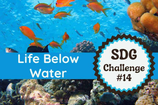 SDG (1)