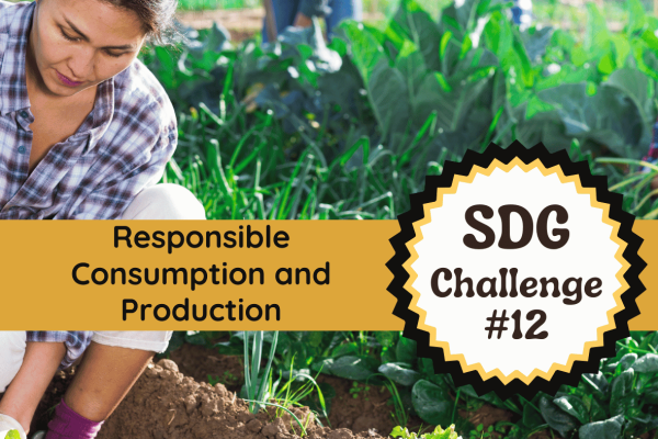 SDG