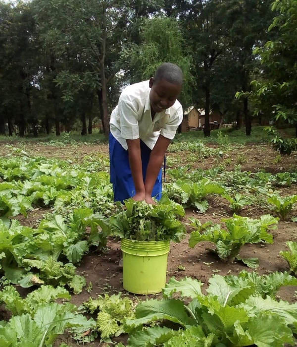 Student-at-Mwikantsi-Primary-in-Tanzania-Shamba-LetusUpschool Student-at-Mwikantsi-Primary-in-Tanzania-Shamba-LetusUpschool