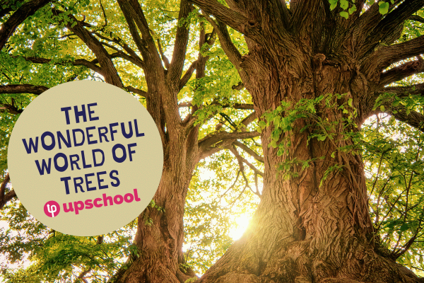 Wonderful Trees