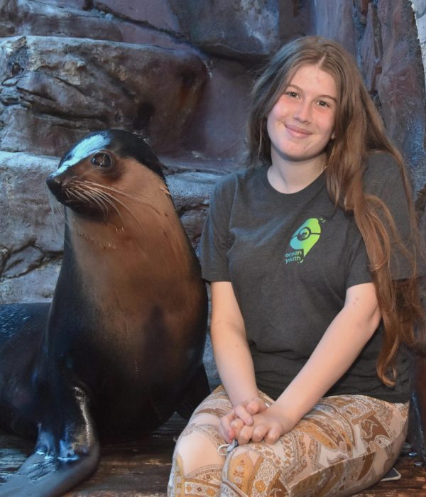 seal seal