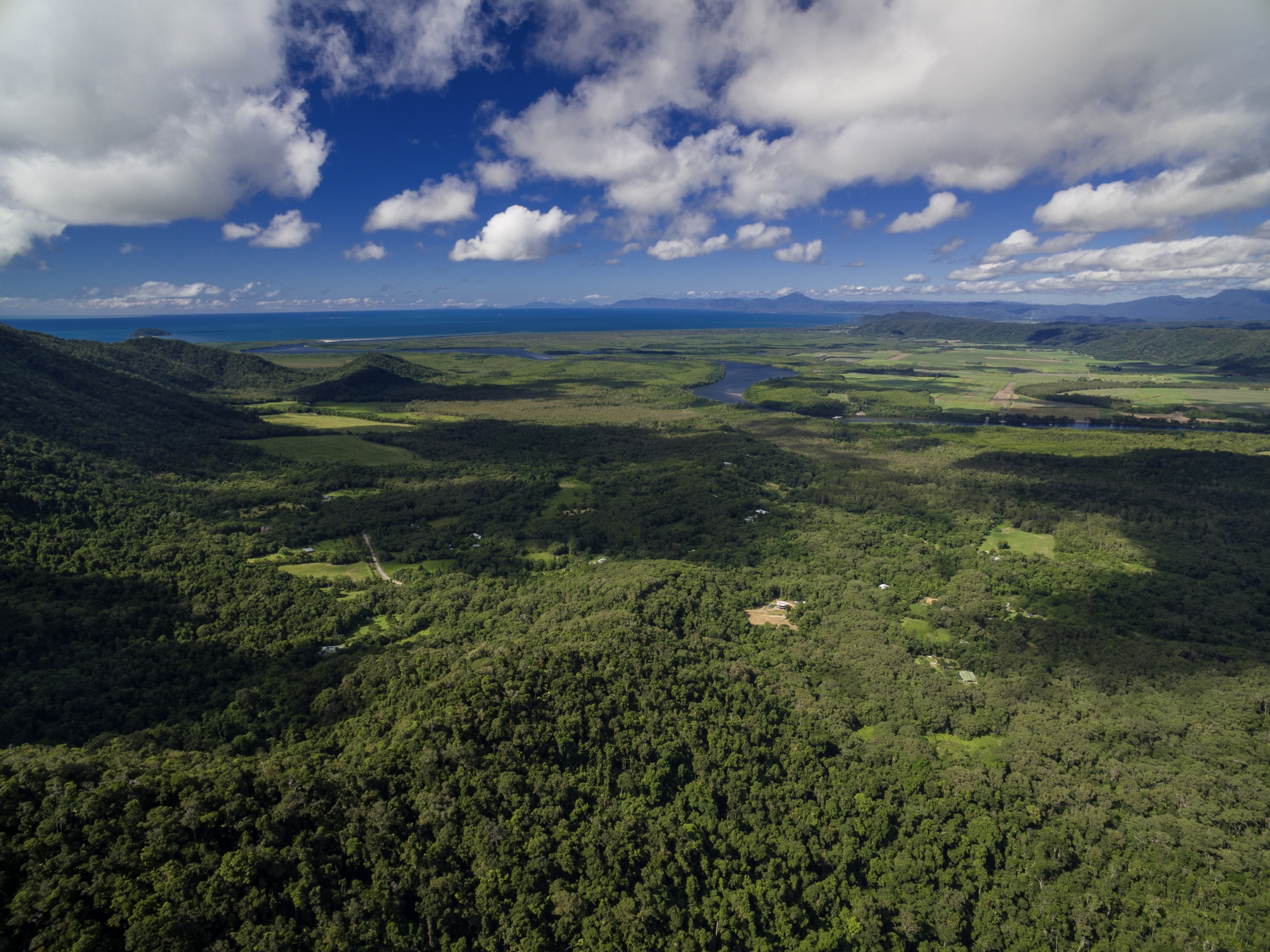 Forest_Creek_Daintree_Rainforest