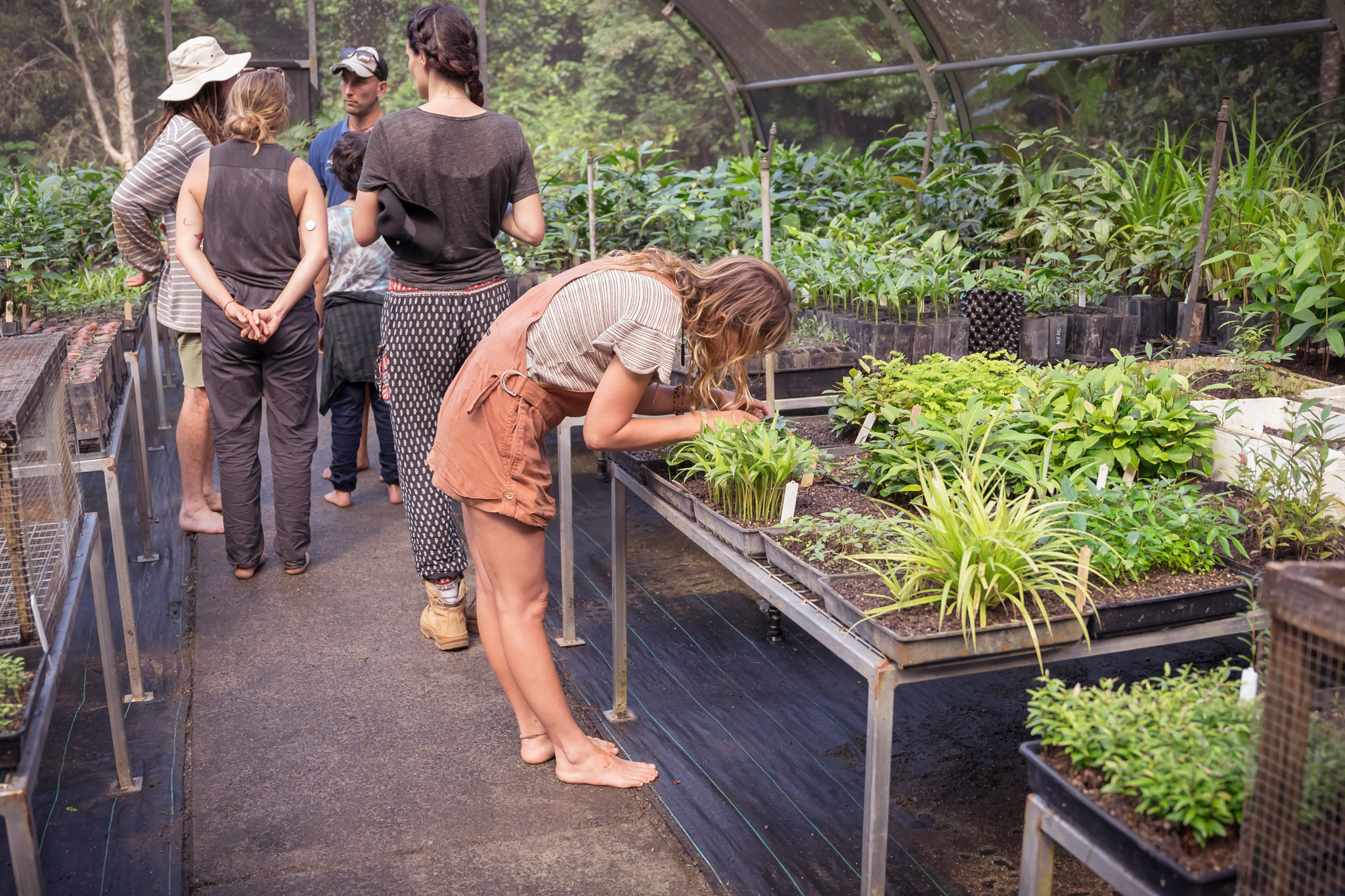 Rainforest Rescue Community Tree Planting