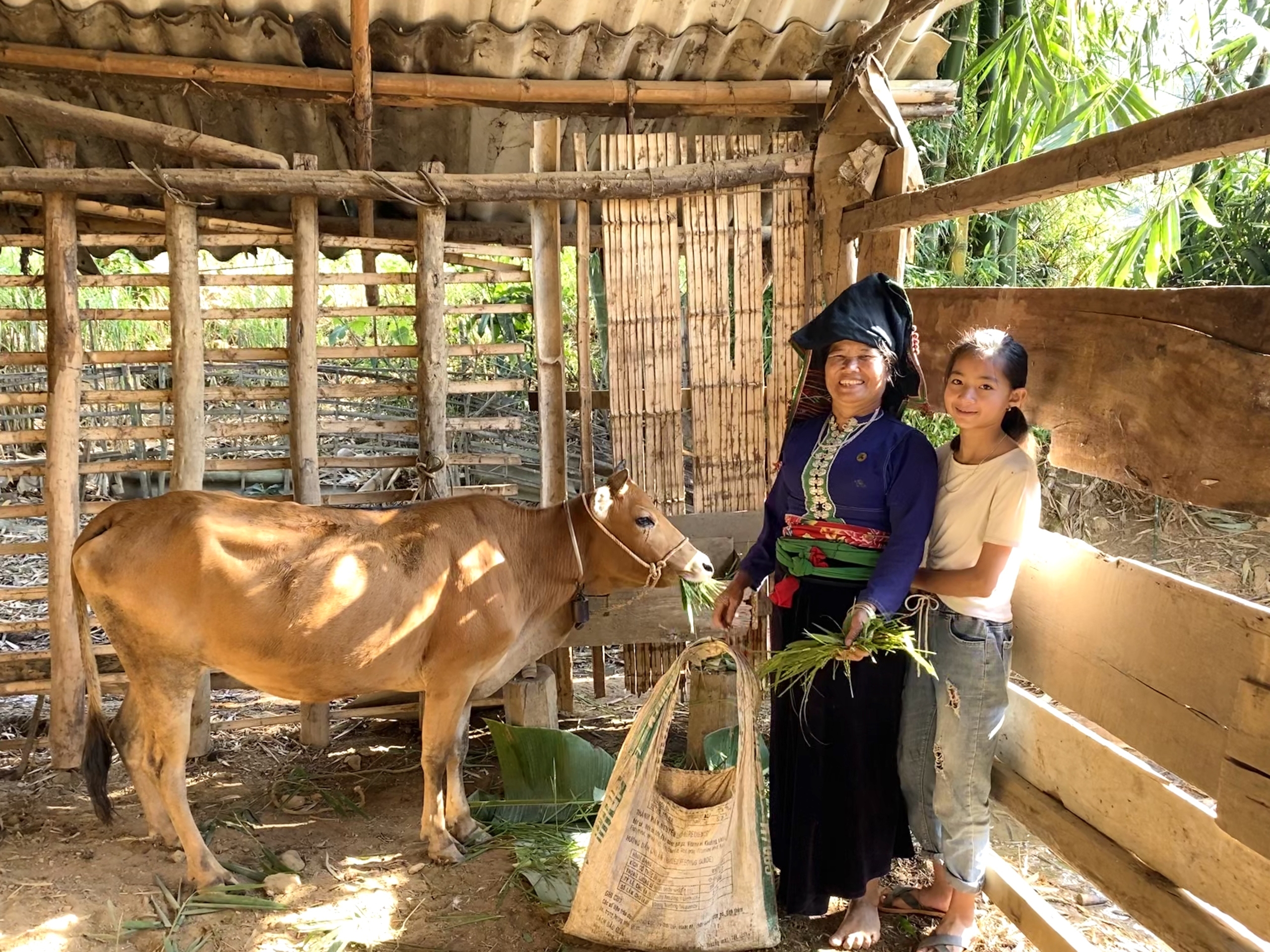 Blue Dragon - Livelihood support to a poor family