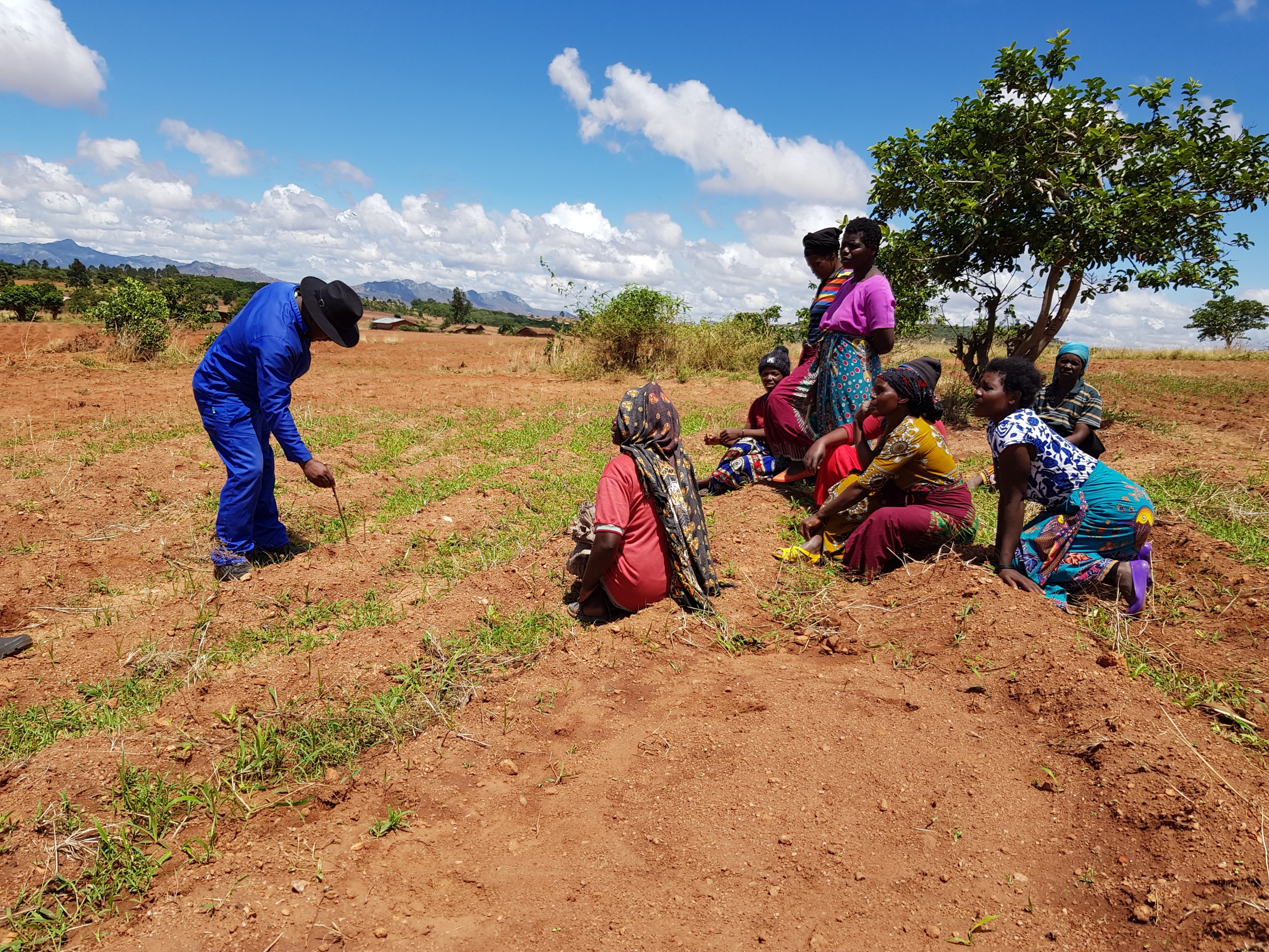 Conservation farming training session