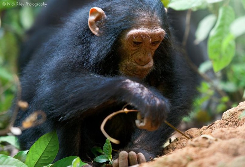 293567355_430738155752473_2004666715784899200_n