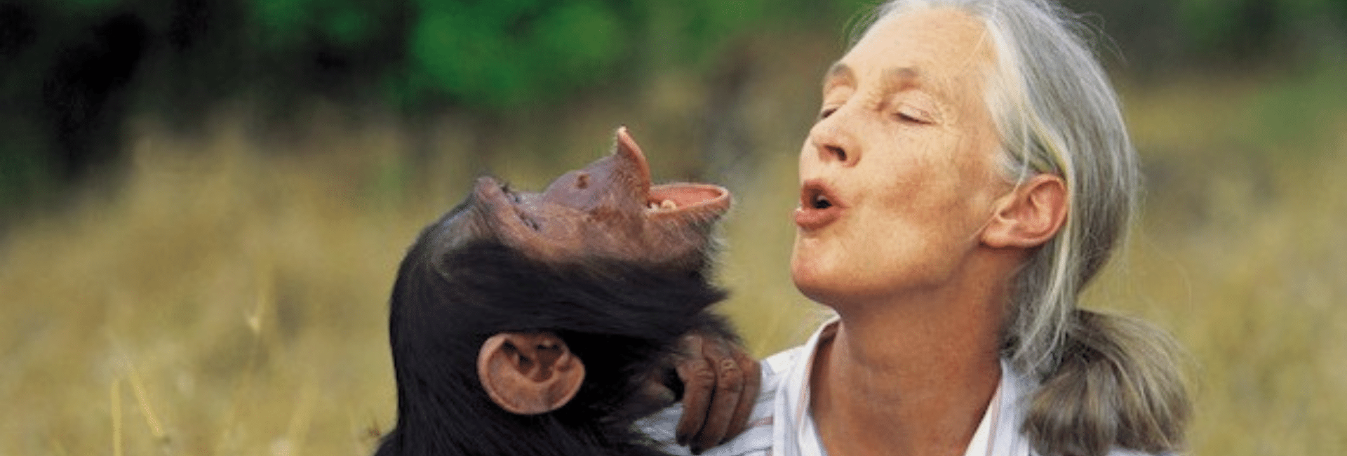 Upschool Charity Projects