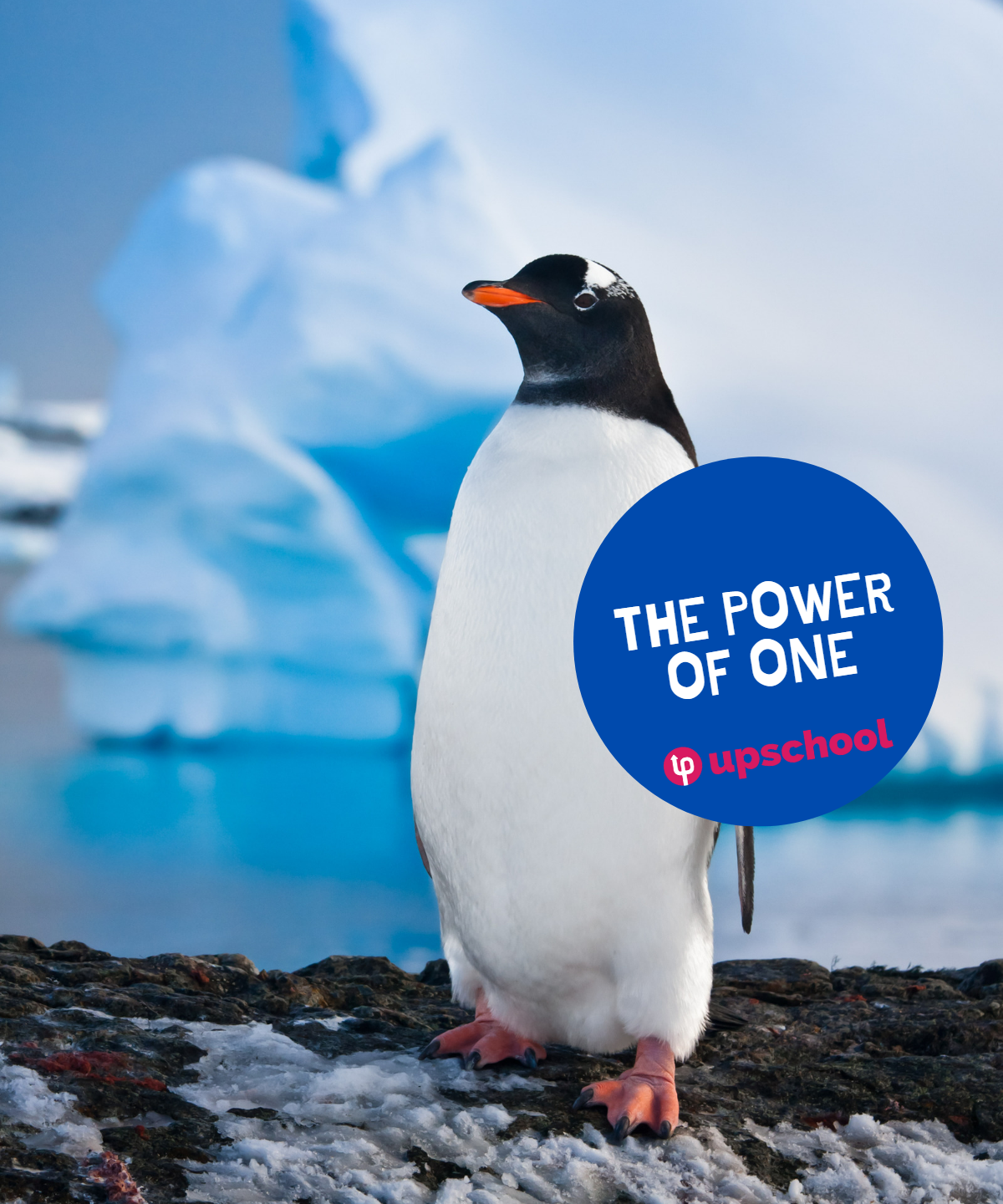 Power of One Featured Image