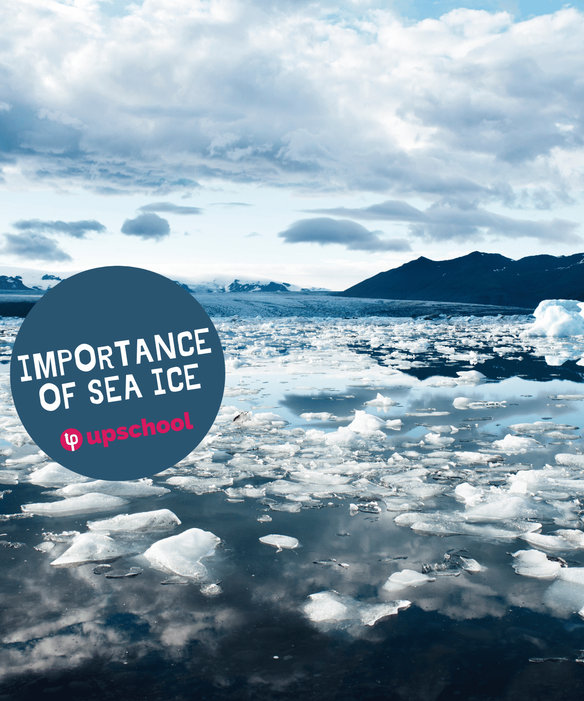 Importance of Sea Ice