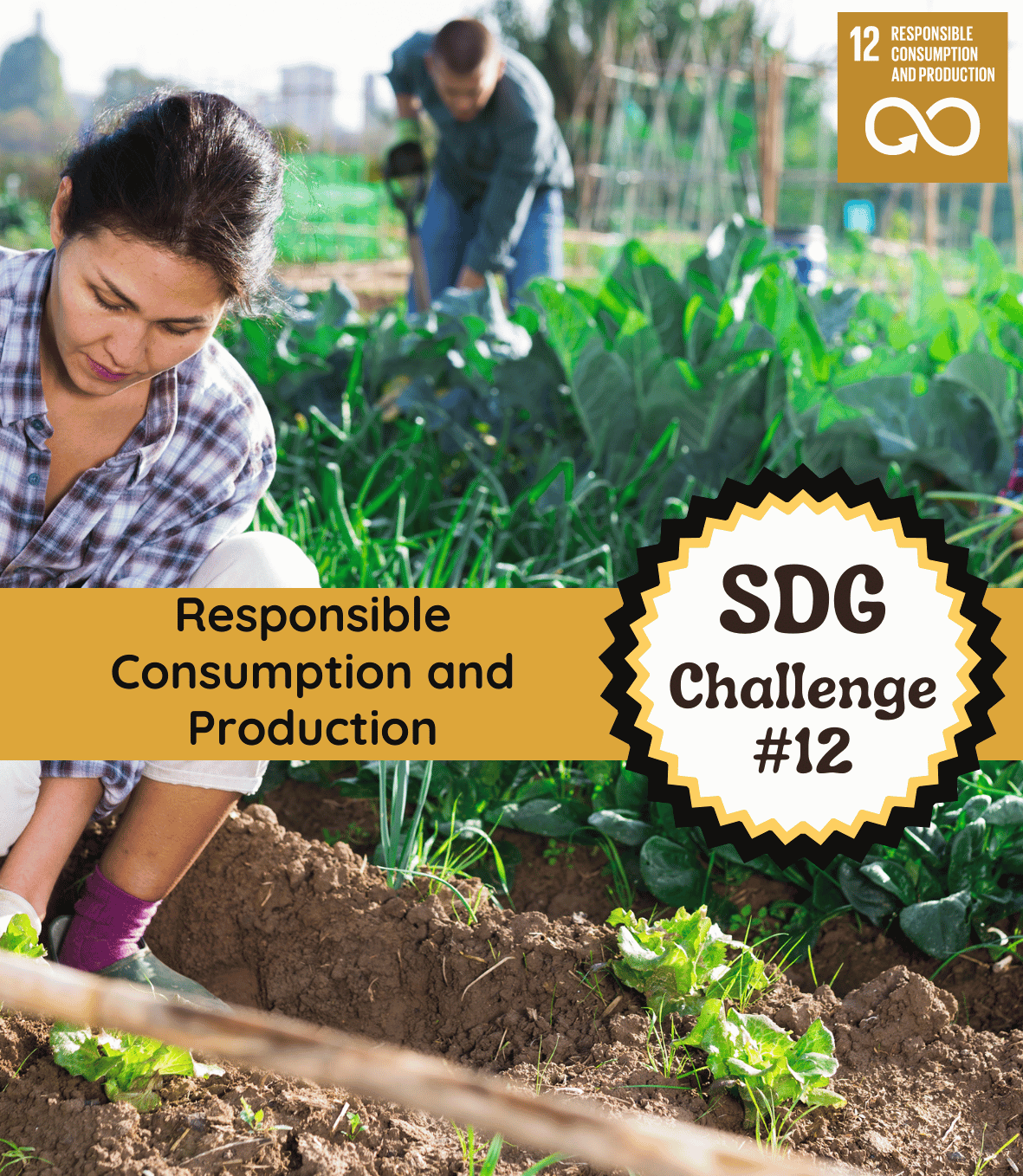 SDG