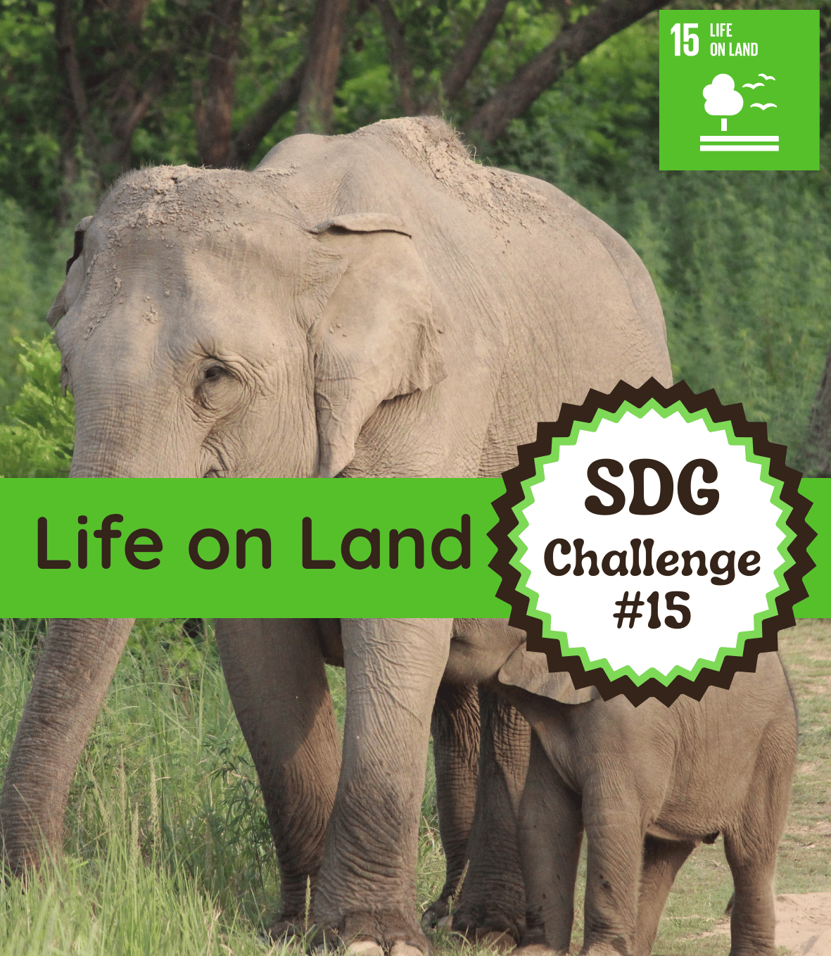 SDG